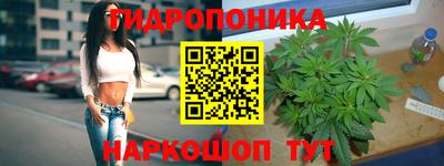эйфоретик Донской